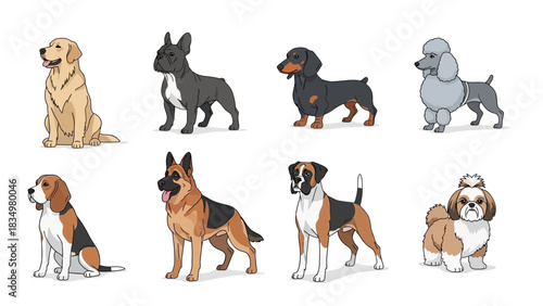 Collection of diverse dog breeds depicted in a cartoon illustration style