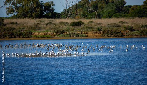 Ria Formosa
