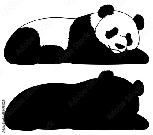 Cute Sleeping Panda Vector Illustration Silhouette, Transparent Background
