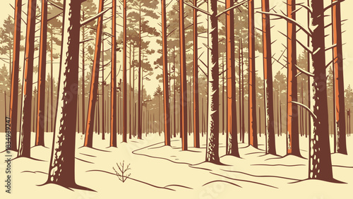 Snowy forest landscape with tall trees and a winding path