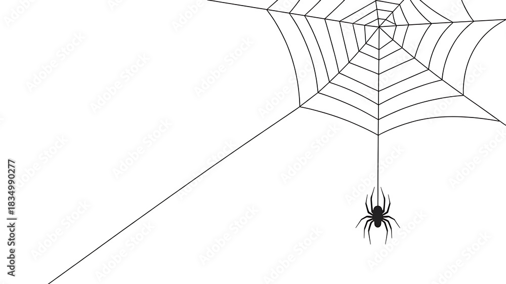 Fototapeta premium A minimalist black and white illustration of a spiderweb with a small spider, isolated on white background