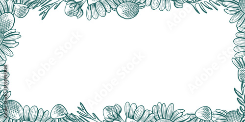 A rectangular frame with chamomile flowers and leaves around the edges. This vector frame features a line design and a botanical illustration of wildflowers.