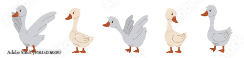 Vector illustration of five cartoon geese displaying various emotions and poses. Each goose is uniquely colored and positioned, showcasing creativity and whimsical character design.