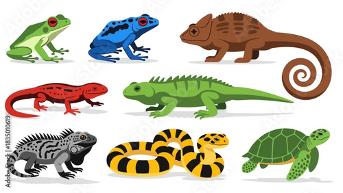 A colorful collection of cartoon reptiles and amphibians featuring a variety of species