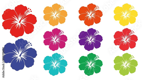 A vibrant collection of hibiscus flowers in various colors against a white backdrop offers a fresh