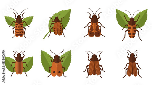 A Diverse Collection of Cartoon Beetle Illustrations on Green Leaves Isolated Design Element