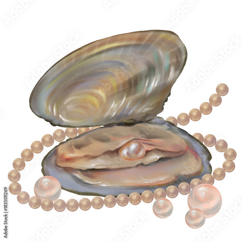 oyster shell with pearls, jewelry, open clip art preview
