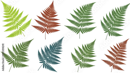 Colorful Fern Fronds Isolated on White Background Botanical Illustration Art