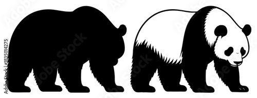Giant Panda Illustration and Silhouette Vector Set Walking Pose on a Transparent Background