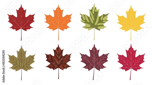 Colorful maple leaf vector illustration showcasing diverse autumn hues and intricate designs for