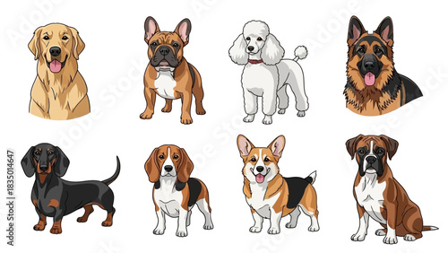 Diverse canine breeds illustration showcasing popular dog types with distinct features