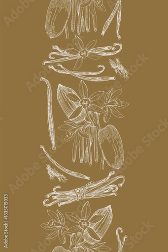 Vanilla hand drawn seamless border