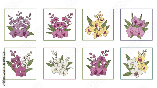 Elegant collection of hand-drawn orchid flower arrangements in square frames offering a touch of