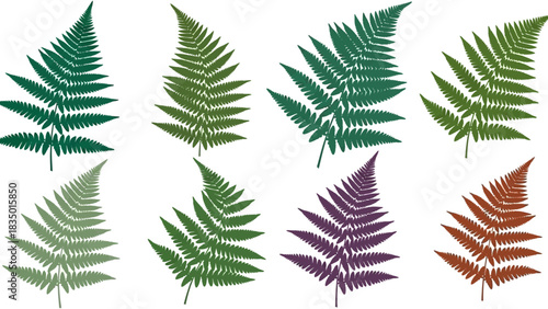 Elegant fern frond vector design with multiple color variations on white background showcasing