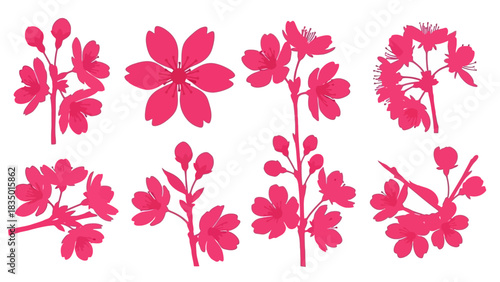 Elegant floral arrangement: Stylized Cherry blossom vector illustration in pink color palette for