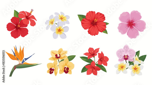 Exotic tropical flower collection, illustration of floral elements for design purposes, perfect