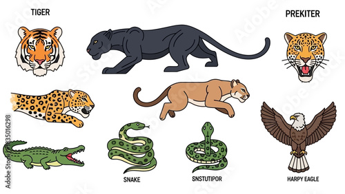 Illustrated Collection of Diverse Animal Species in a Natural Wildlife Setting Cartoon Style