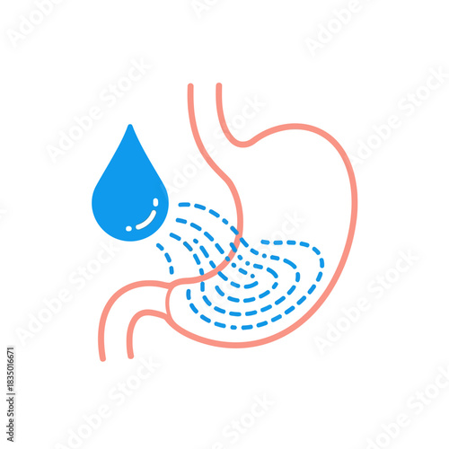 Illustration of a stomach with fluid intake for digestion and health awareness
