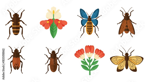 Vector Illustration Featuring Various Insects and Flowers in a Colorful and Playful Style
