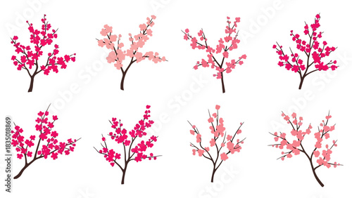 Vector illustration set of cherry blossom trees with pink and dark pink flowers a spring season