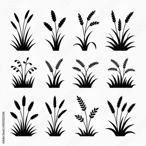 A minimalist, graphic illustration showcasing twelve distinct black silhouette motifs of stylized wheat or grass stalks, arranged in a 3x4 grid against a clean white background. 