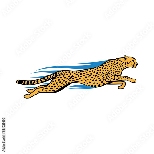 Cute wild big cat predator with spots and fur, including cheetah and leopard, isolated on a white background