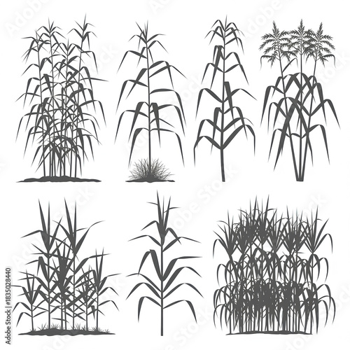 A collection of silhouette illustrations showcasing various reeds, each depicted with slender, elongated leaves and stems, creating a natural and organic aesthetic, isolated on white background.