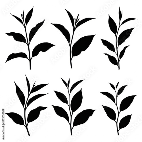 This image presents a clean, graphic illustration style featuring six distinct silhouettes of tea leaves and stems, arranged in two rows of three. 