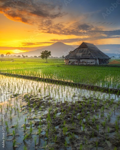 natural beauty in the morning