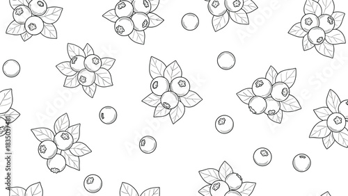 Seamless pattern of hand-drawn blueberries and leaves on a white background.