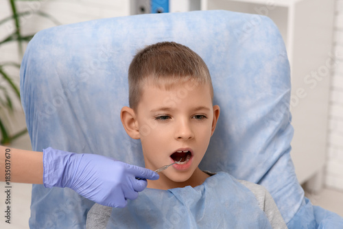 Dentist examining teeth of ...