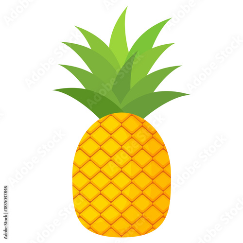 pineapple fruit illustration, summer fresh fruit theme	