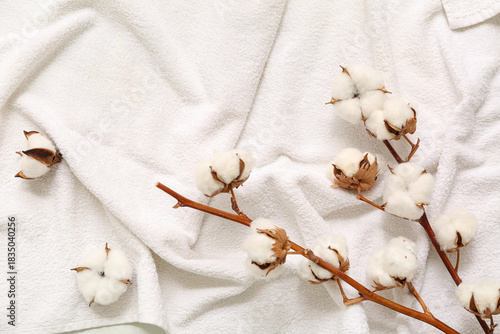 Cotton branches on light cl...