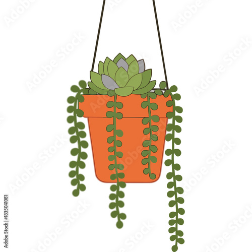 Orange Hanging Planter with Succulent and String of Pearls Plant Against Black Background Minimalist Style