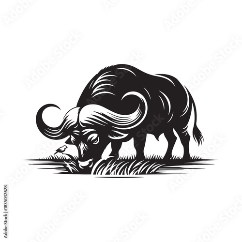 Black and white illustration of a cape buffalo grazing on grass