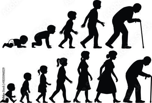 Human life cycle silhouette vector set, male and female progression from infancy to old age, aging stages illustration for education and design