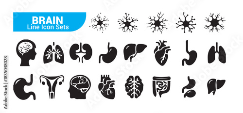 Brain line icon set organ body silhouette neurology human anatomy medicine science health care symbols