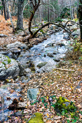 Otoiño en el arroyo