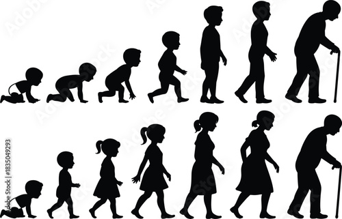 Human growth and aging silhouette vector set, male and female life stages from infancy to elderly, development cycle illustration for education and design