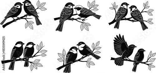 Set of bird couple silhouettes on branches, black and white vector illustration of loving animals for spring, nature, wedding, and romantic decor designs.