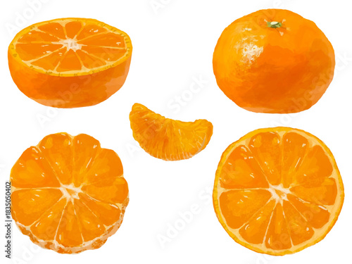 みかんのベクターイラストセット(丸ごと・断面・半分カット・飾り切り・一房薄皮なし)