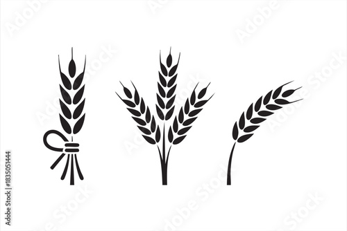 Clean grain symbol set for farm packaging, harvest themes, and natural food design
