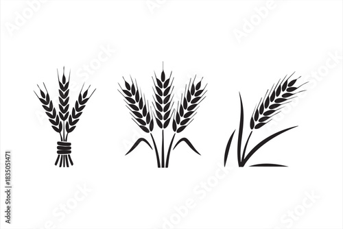 Minimal wheat illustrations for rural branding, eco packaging, and cereal graphics
