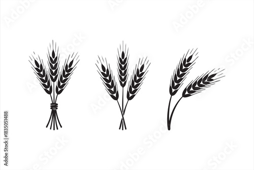 Agricultural crop ear icons for organic products, farm marketing, and natural labels