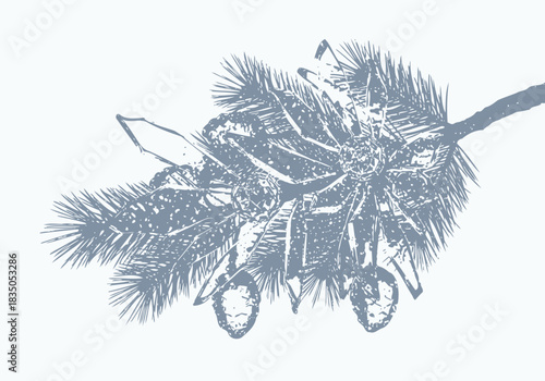 Stylized Palm Tree Branch with Coconuts in BlueGray Tones.