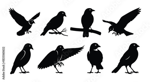 A collection of black bird silhouettes in various flight and resting poses