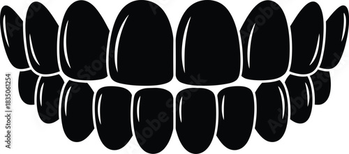 Black silhouette of a full set of human teeth, upper and lower jaw, on a white background mouth dental