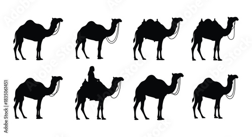 Silhouette collection of camels in various poses and arrangements on white background