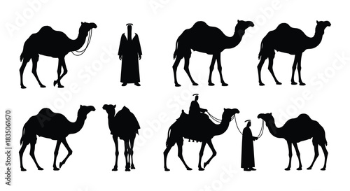 Silhouette collection of camels in various poses and arrangements on white background