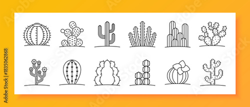 Cactus set icon. Desert, plant, nature, tropical, flower, landscape, spike, succulent, flora, botany, garden, wild, thorn, ecology, green, growth, arid, environment, summer, outdoor